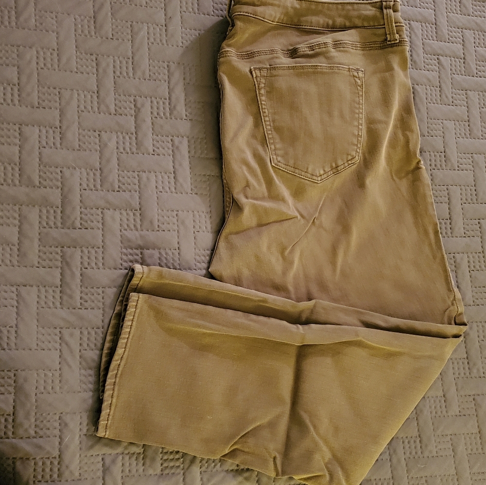 Olive skilly jeans 20w